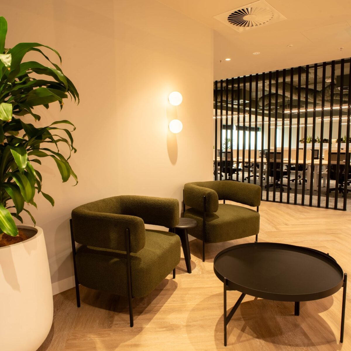 Corporate office waiting area featuring two chairs, foliage and timber floors.